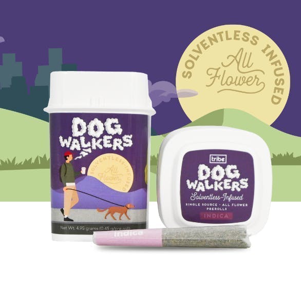 Gelato Bubble | Jaywalkers Solventless Infused Minis | 0.45g each | 11pk