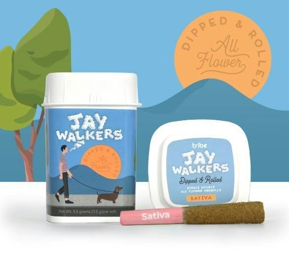 Columbian Mafia | Jaywalkers Dipped Infused Minis | 0.55g each | 11pk