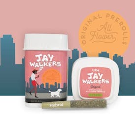 Jaywalkers - Original - Hybrid - Garlic Thin Mintz - 11x4.4g