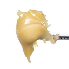 Dirty Zprite Live Rosin Cold Cure Badder - Tier 1