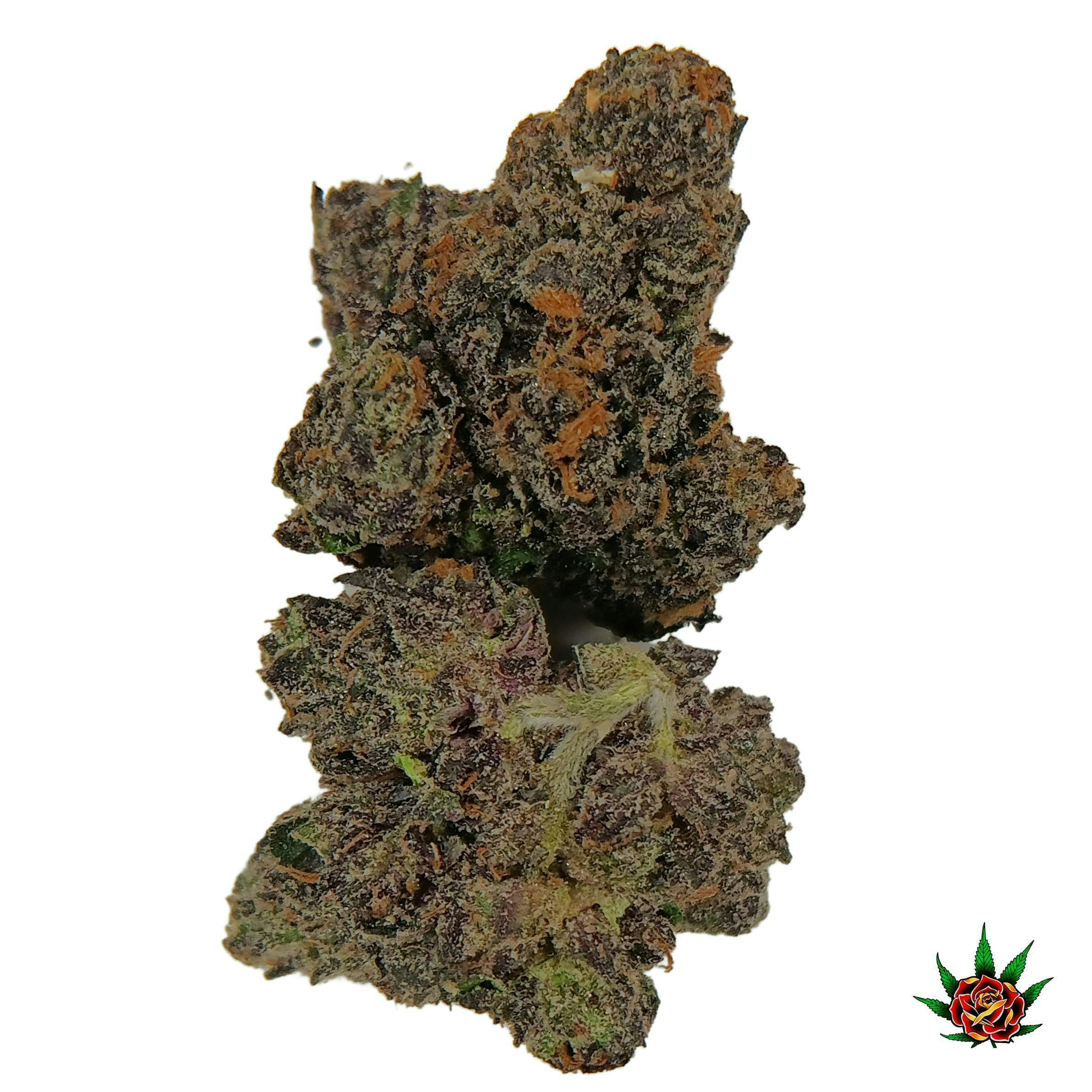 Exotic Shelf (Orange) - Wareoz (Hybrid)