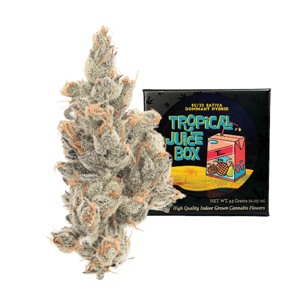 Tropical Juice Box | Big Buds | 3.5g