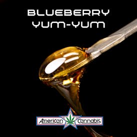 ACC Blueberry Yum-Yum Sap 3.5g (Indica)