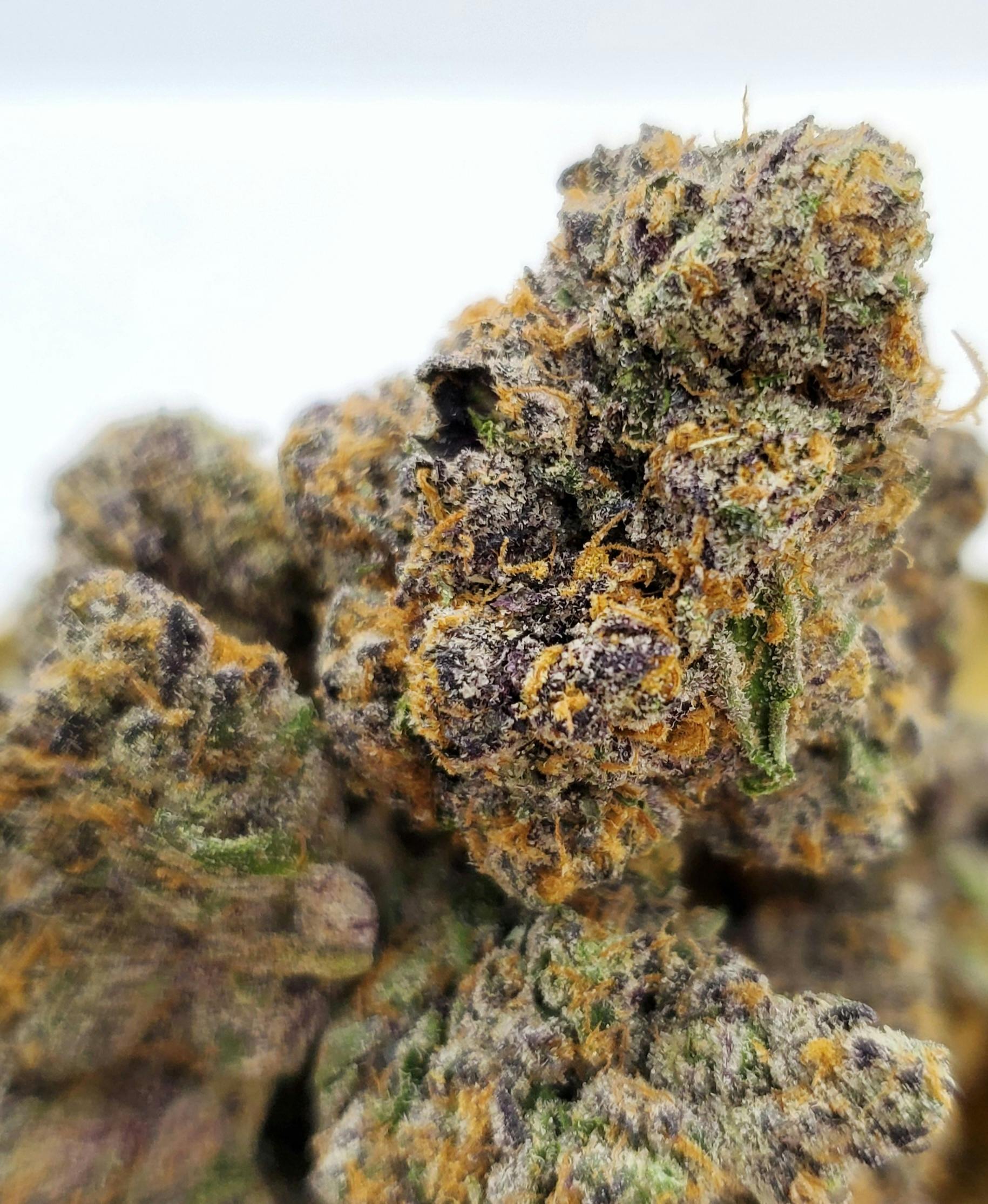Rainbow Zkittlez Weed Strain Information | Weedmaps