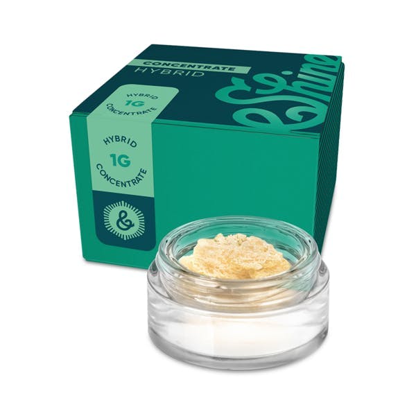 &Shine | Afternoon Delight #4 | Cured Concentrate | 1g by &SHINE