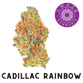 AMAZE Cannabis - Cadillac Rainbow - [3.5g] Pre-pack
