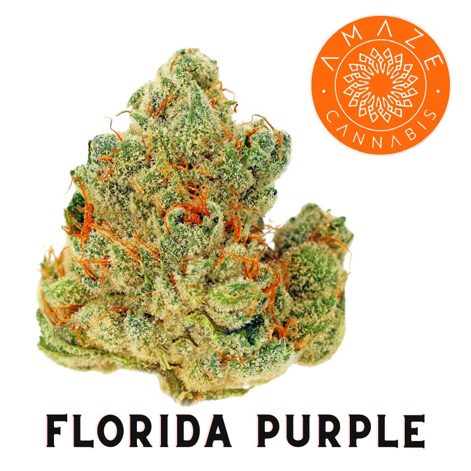 AMAZE Cannabis - Florida Purple - [3.5g] Pre-pack by Amaze