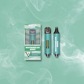BREEZE Canna - Watermelon Wave - Classic 1g 510 Vape Device