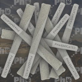 PhD 10-1g Pre-Roll - Forbidden Punch (S)