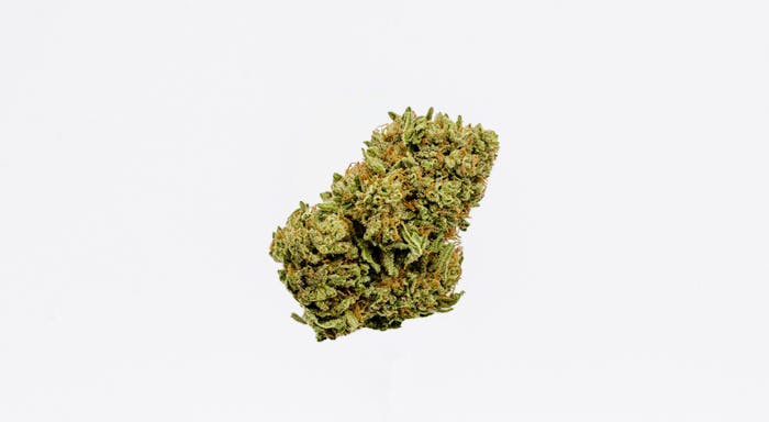 East Fork Cultivars: Jelly Delight