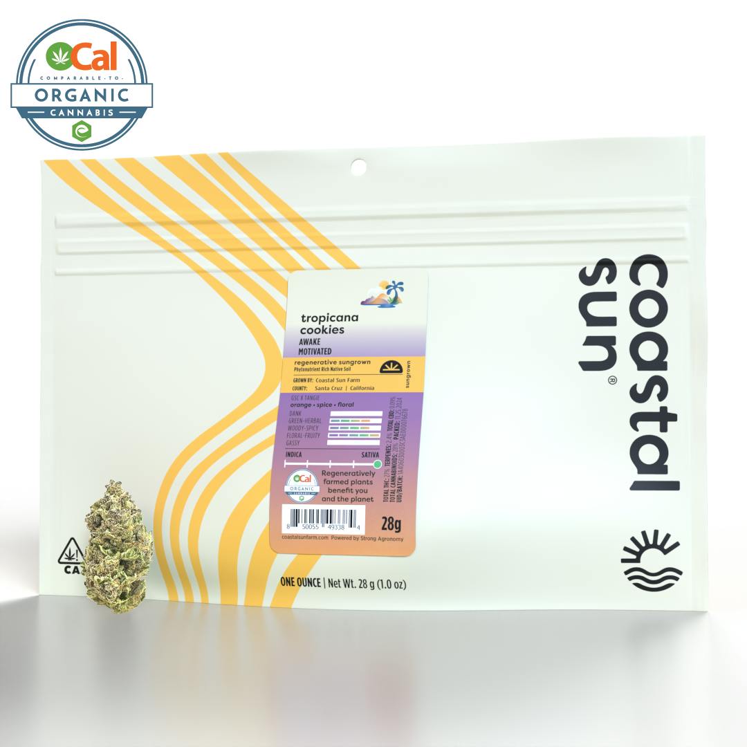 Coastal Sun — Tropicana Cookies