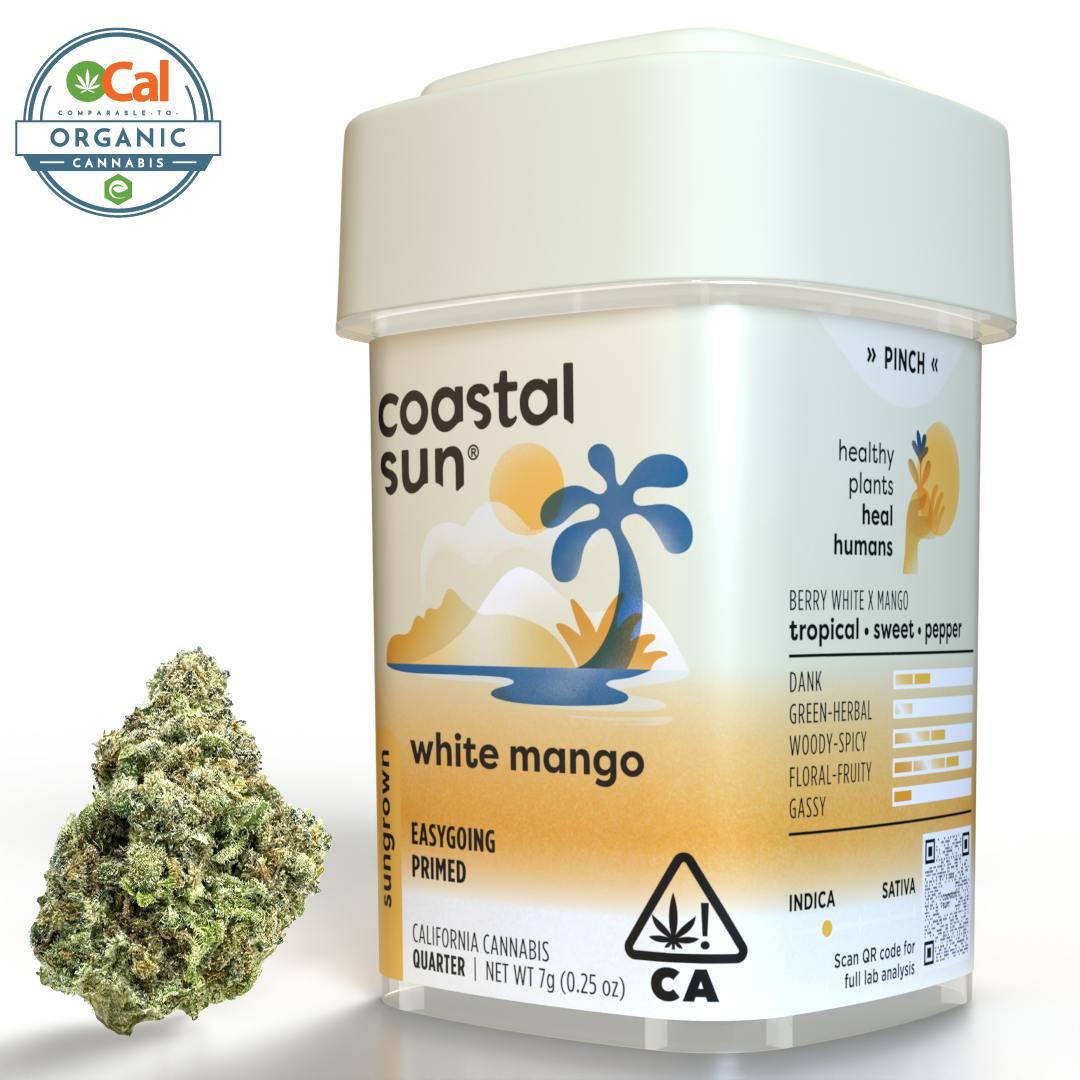 Coastal Sun — White Mango
