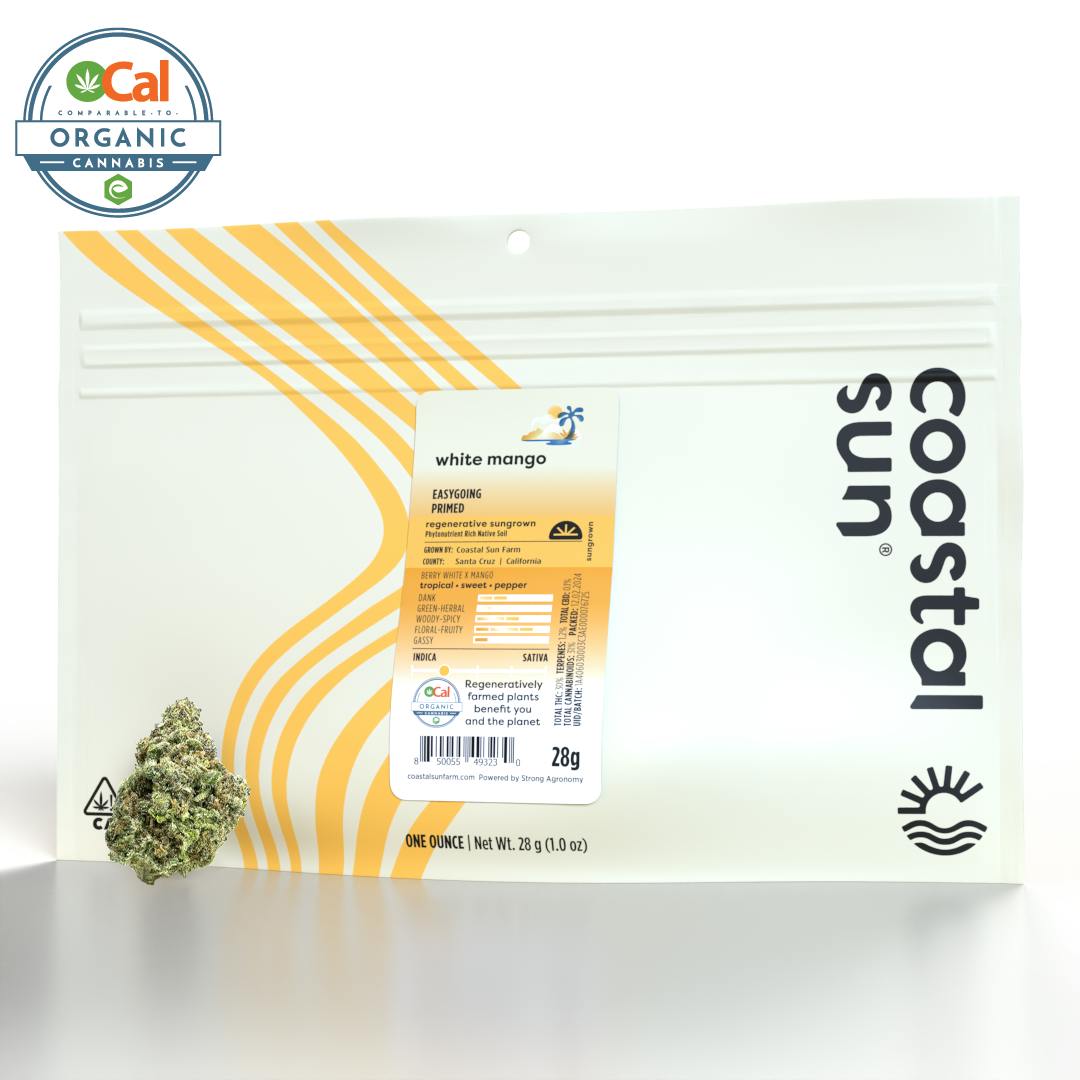 Coastal Sun — White Mango