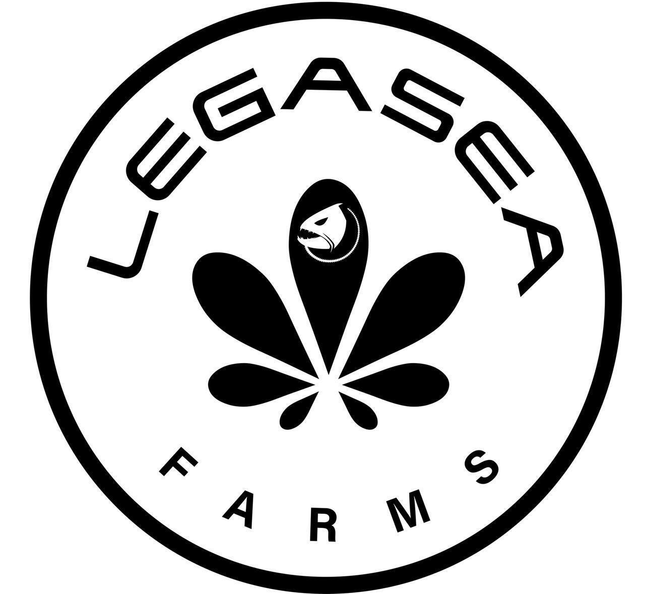 Grape Gas Flower