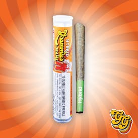 Mai Tai Tartz - Bubble Hash Infused Pre-Roll (1g)