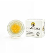 Himalaya | Orange Elixir | Live Resin Terp Sugar | 1g
