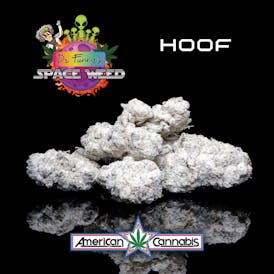 Dr. Funky's Space Weed Hoof 3.5g (Hybrid)