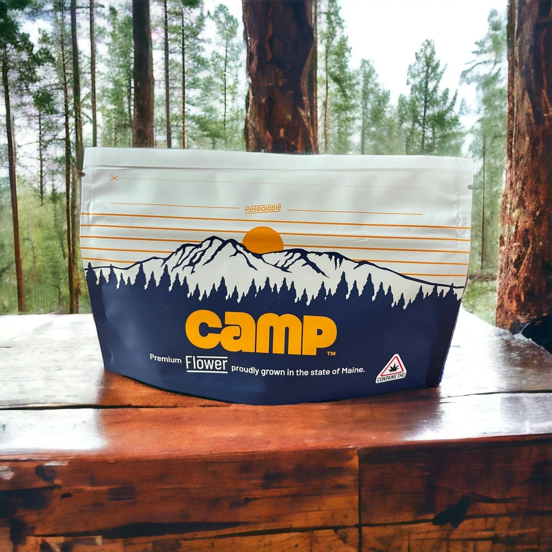 Brain Stain - Camp Cannabis