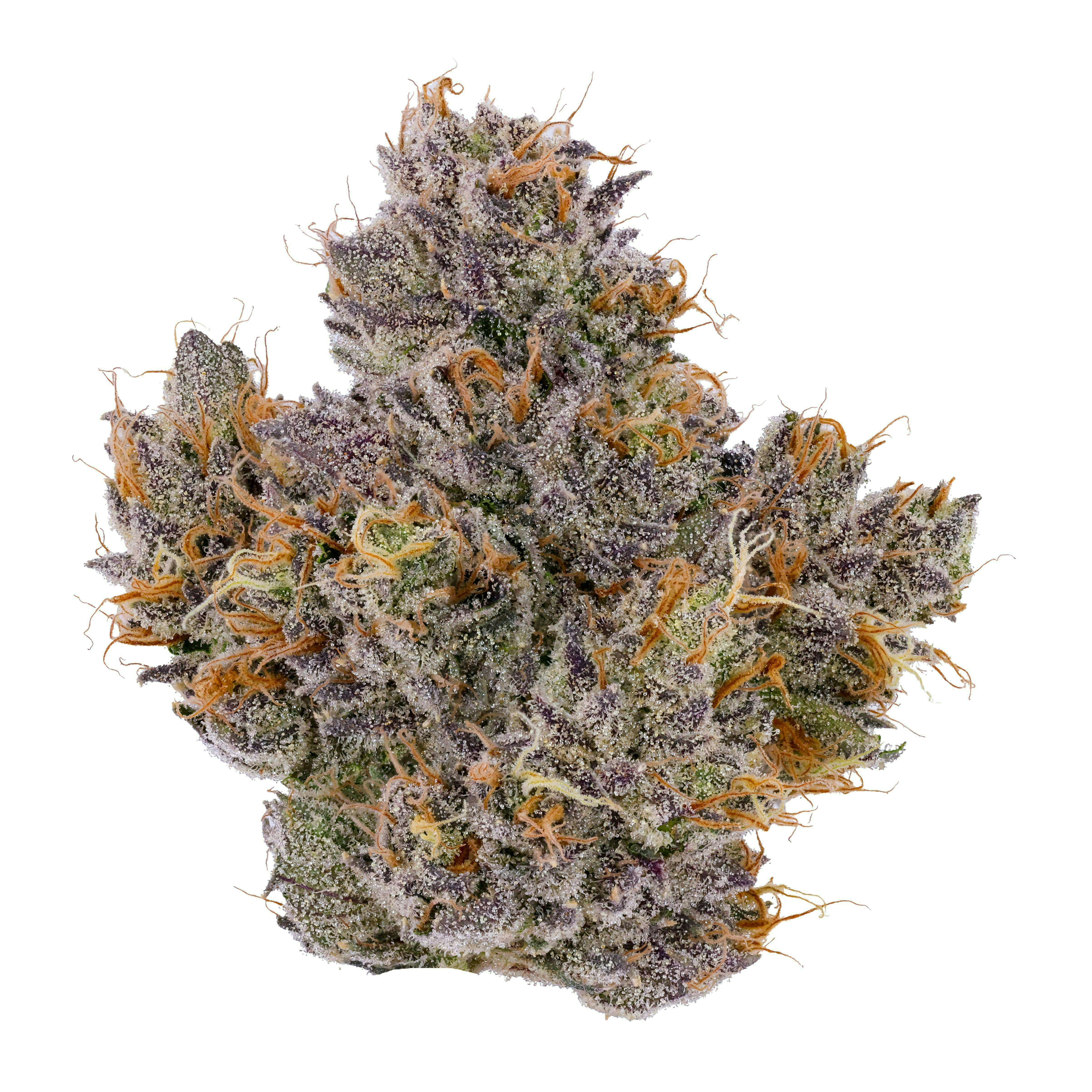 Fig Farms — Krypto Nectarines