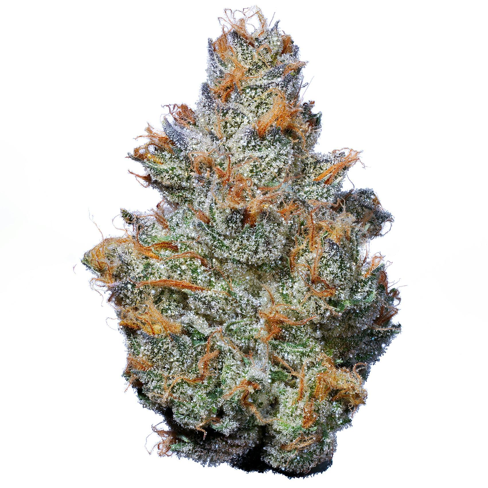 Fig Farms — Krypto Nectarines