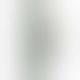 Watermelon Zlushie | Ritual Liquid Diamond 2g Disposable | Hybrid