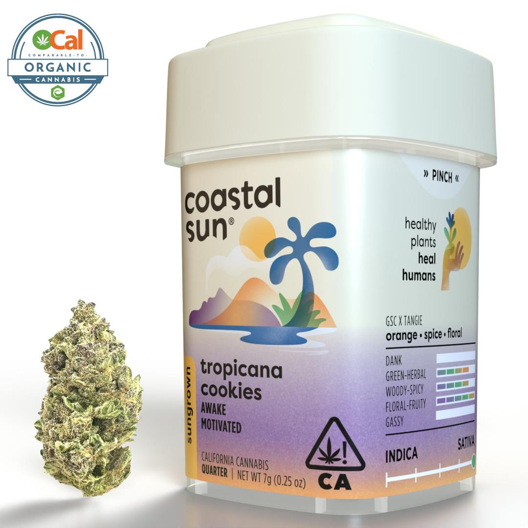 Coastal Sun — Tropicana Cookies