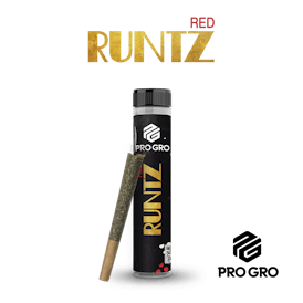 Red Runtz Pre-Roll | 1g
