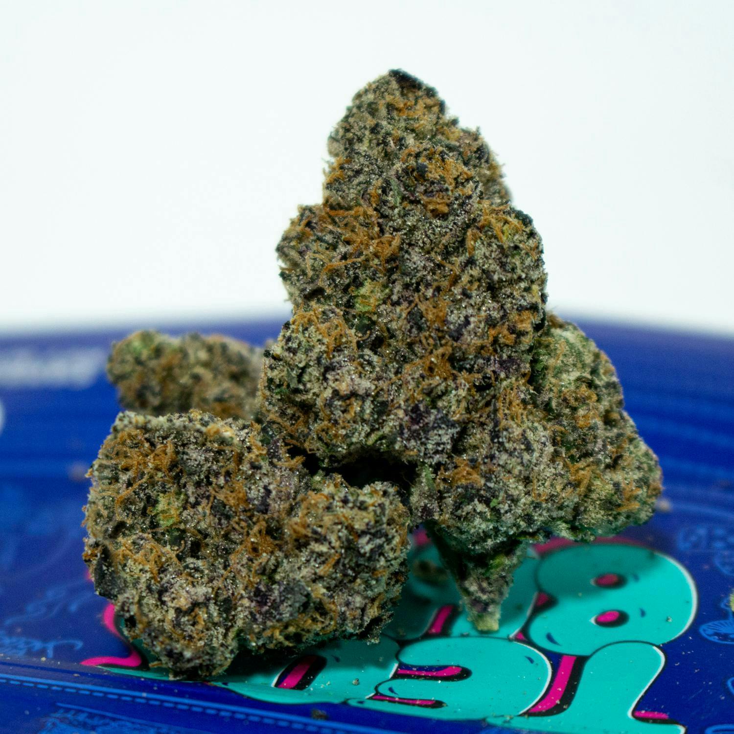 TEDS BUDZ — King Neptune