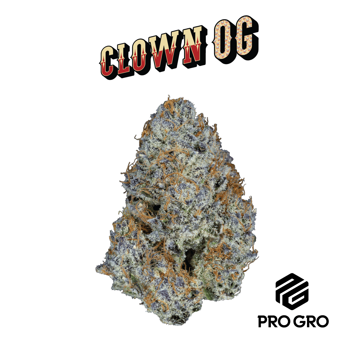 Clown OG by Pro Gro