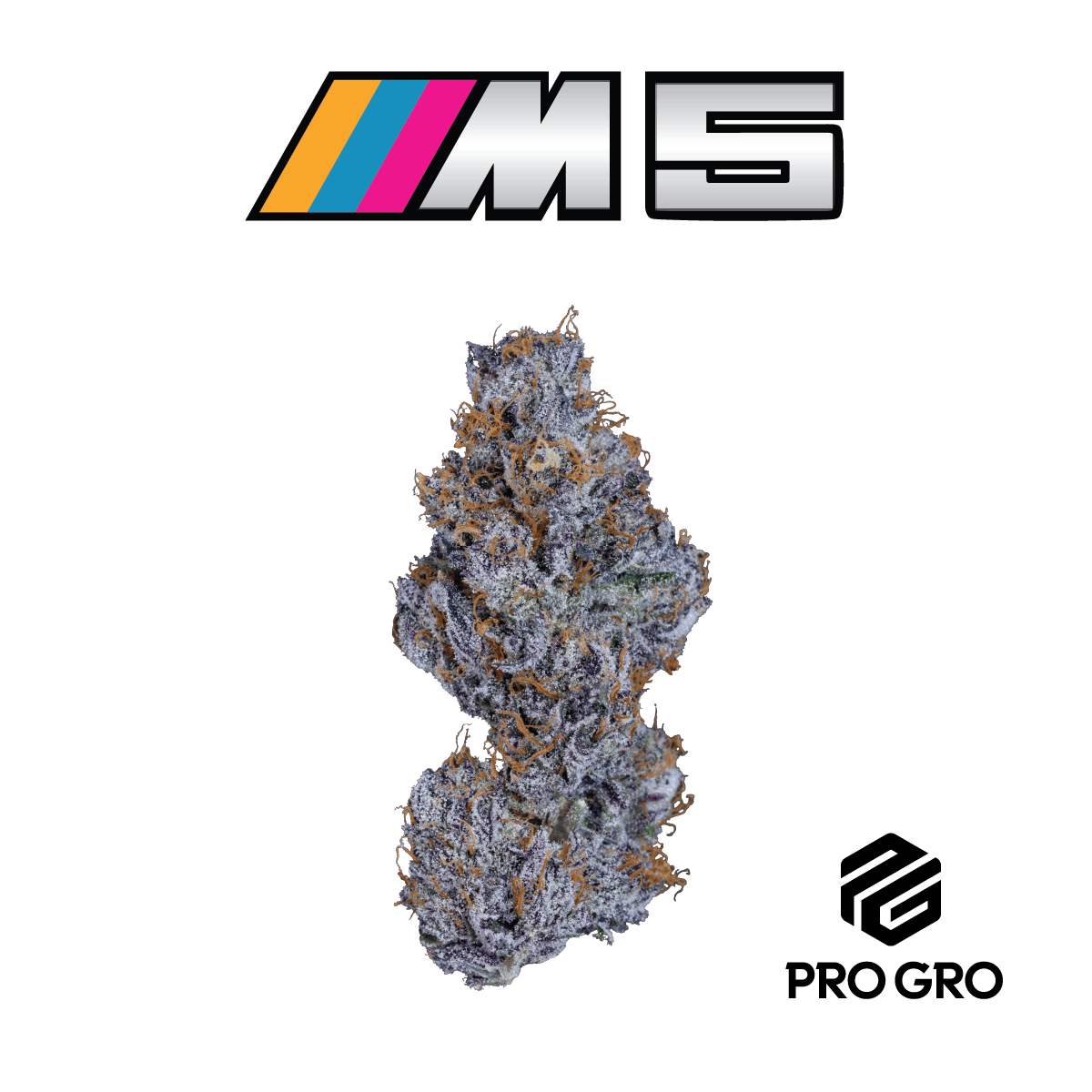 M5