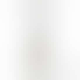 Oishii Pre-Roll | 1g