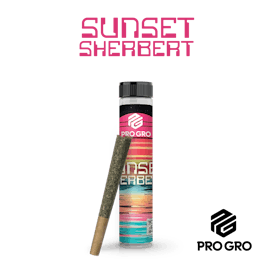 Sunset Sherbert Pre-Roll | 1g