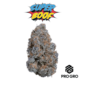 Superboof