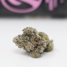 Original Bubblegum Runtz