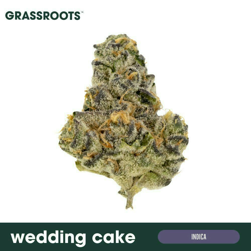North Wedding Cake Popcorn Flower