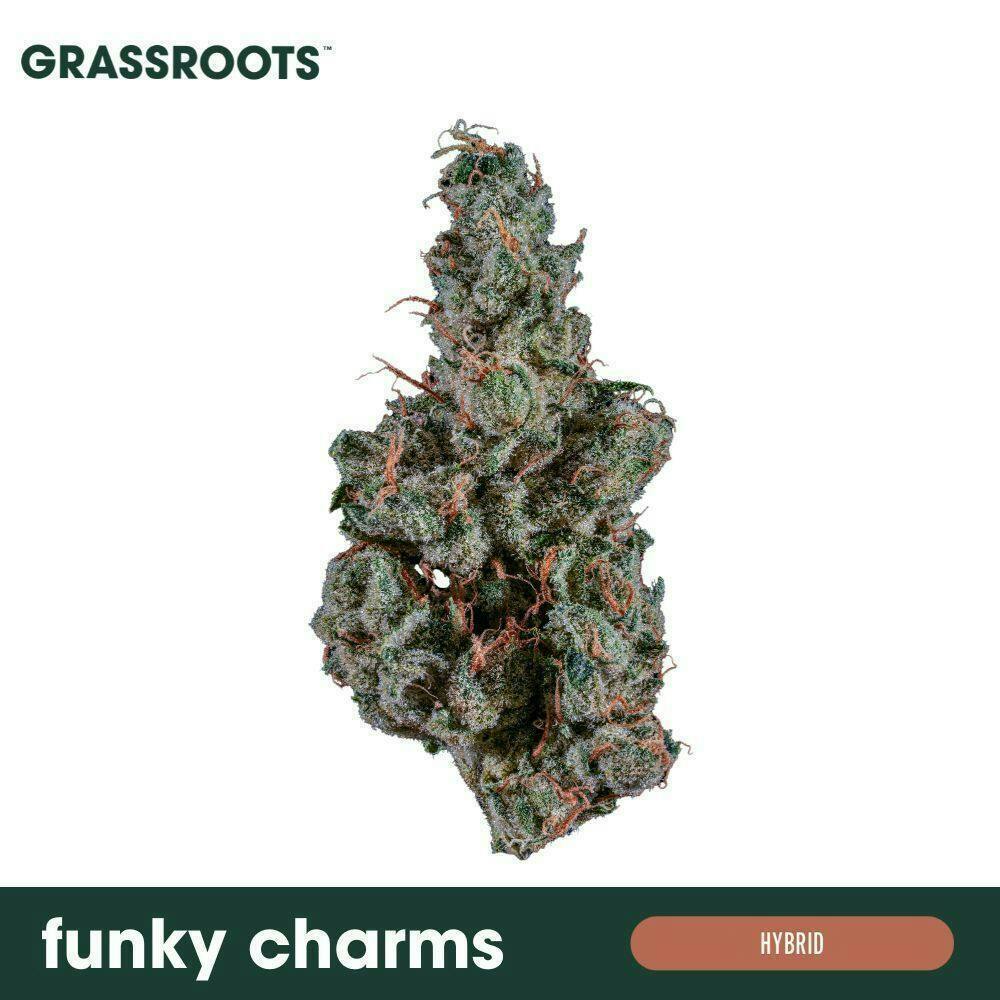 Funky Charms Popcorn Flower