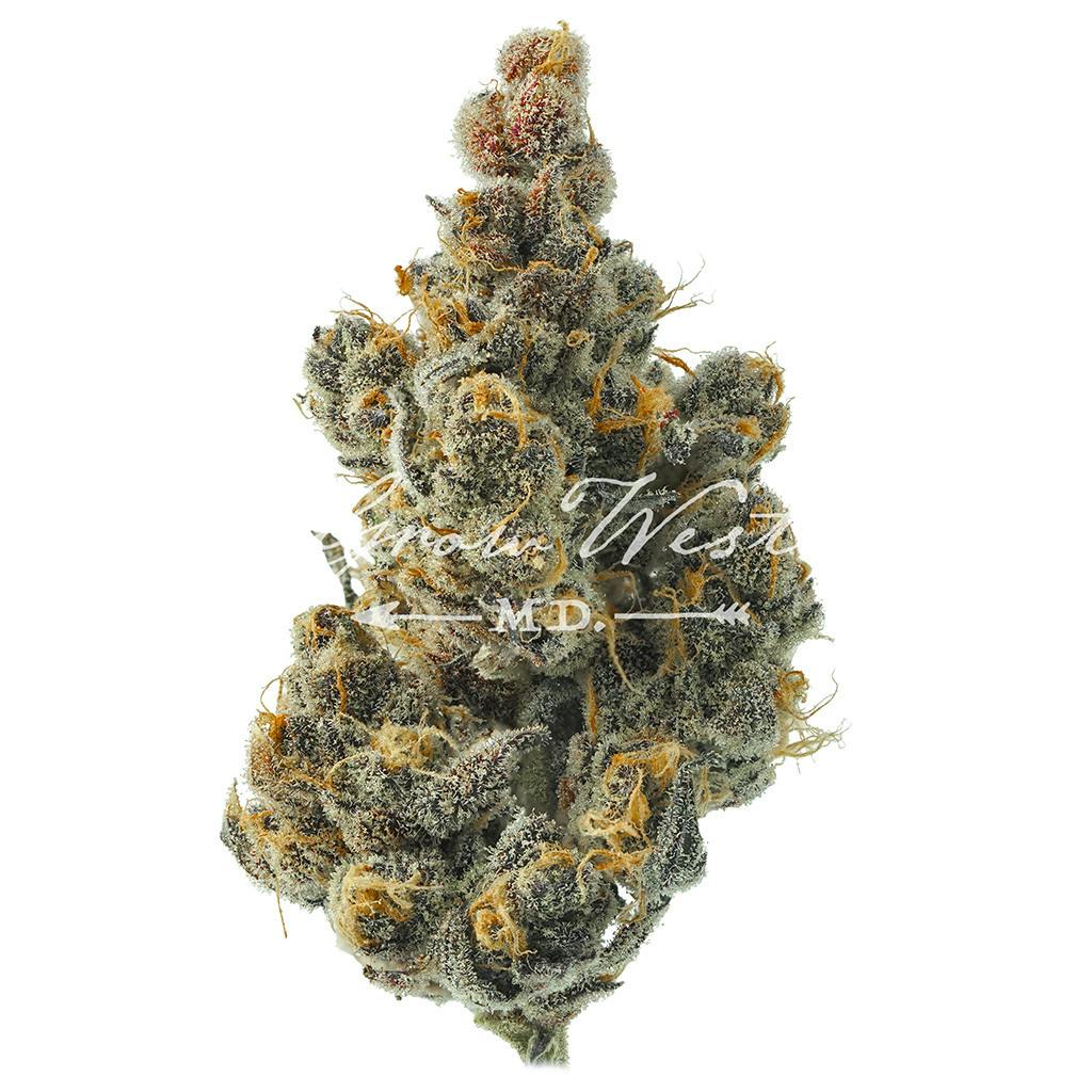 Jack Herer | Gold | Trimmed Flower by Grow West Cannabis Company