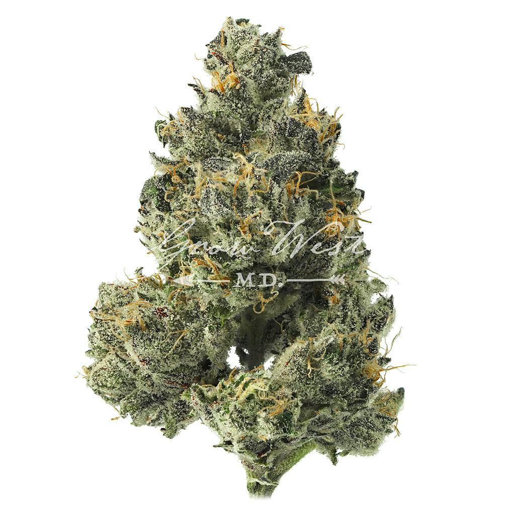 Twin Peaks | Gold | Trimmed Flower