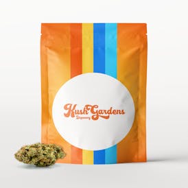 Popcorn Flower - 41gs