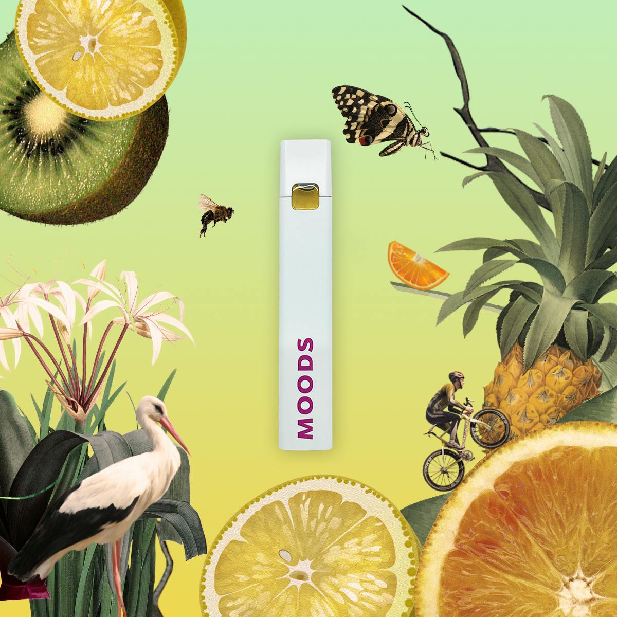 moods disposable vape Buy Cannabis Products for Sale Near You pod coils FLAVORS:Sky Mint Vape Life Cycle: How