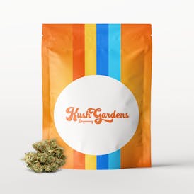 Popcorn Flower - 10g