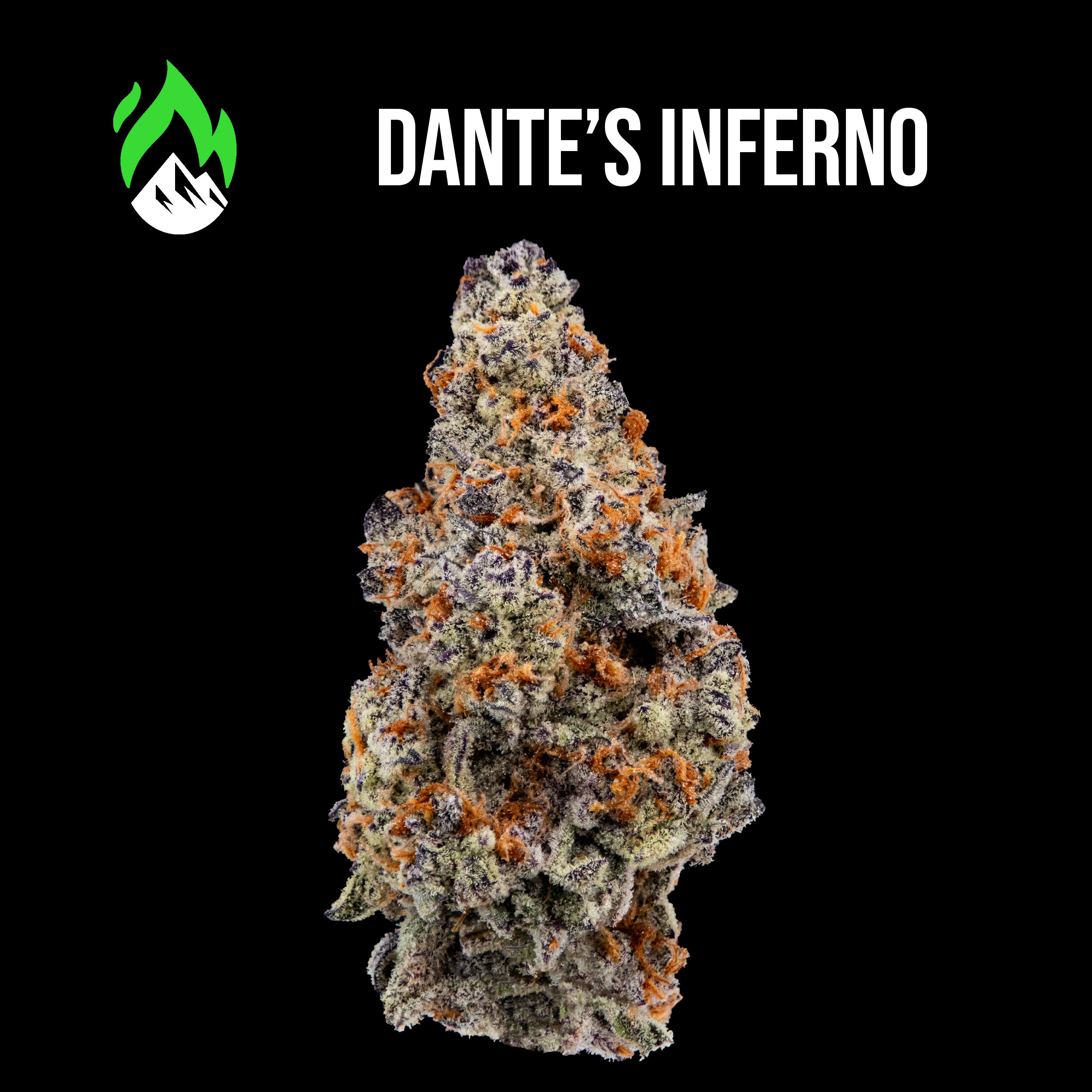 Dante's Inferno Flower by Wildfire
