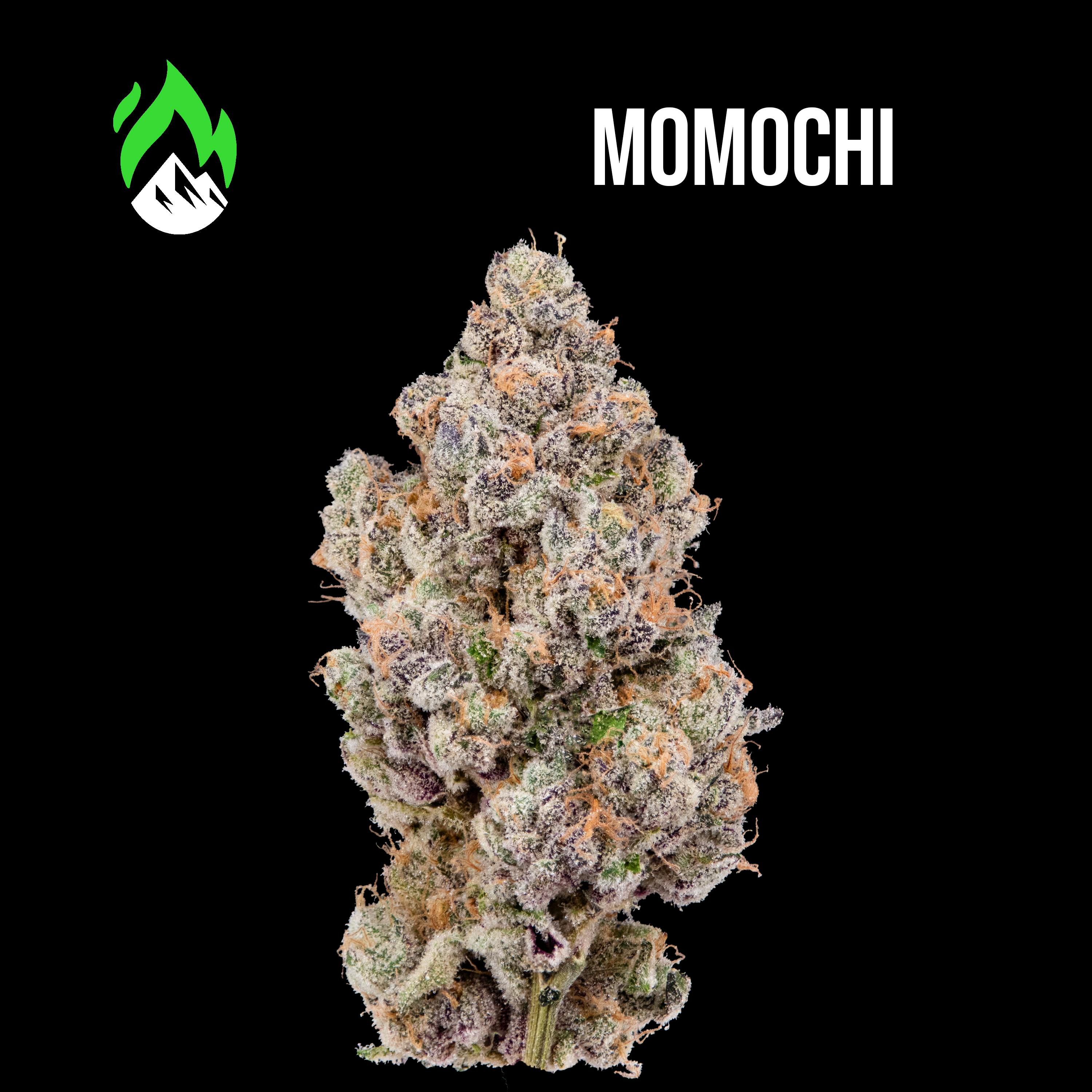Momochi Flower by Wildfire
