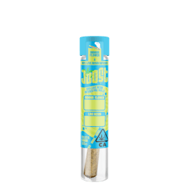 JOOST SFV OG x Sky OG ~ Indica ~ 1G Live Resin Pre-Roll