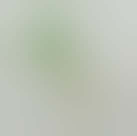 El Gato Concentrate 1g - Green Mile (Wax)