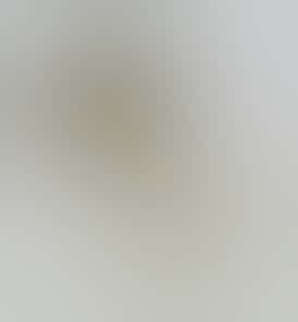 Twisted Concentrate 1g - Oasis Purps (Badder)