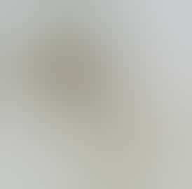 Twisted Concentrate 1g - Zed (Wax)