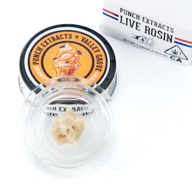 Jerry's Honey Sherbert Tier 3 Live Rosin Cold Cure Badder (1g)