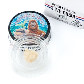 Yellow Passion Fruit Tier 1 Live Rosin Cold Cure Badder (1g)