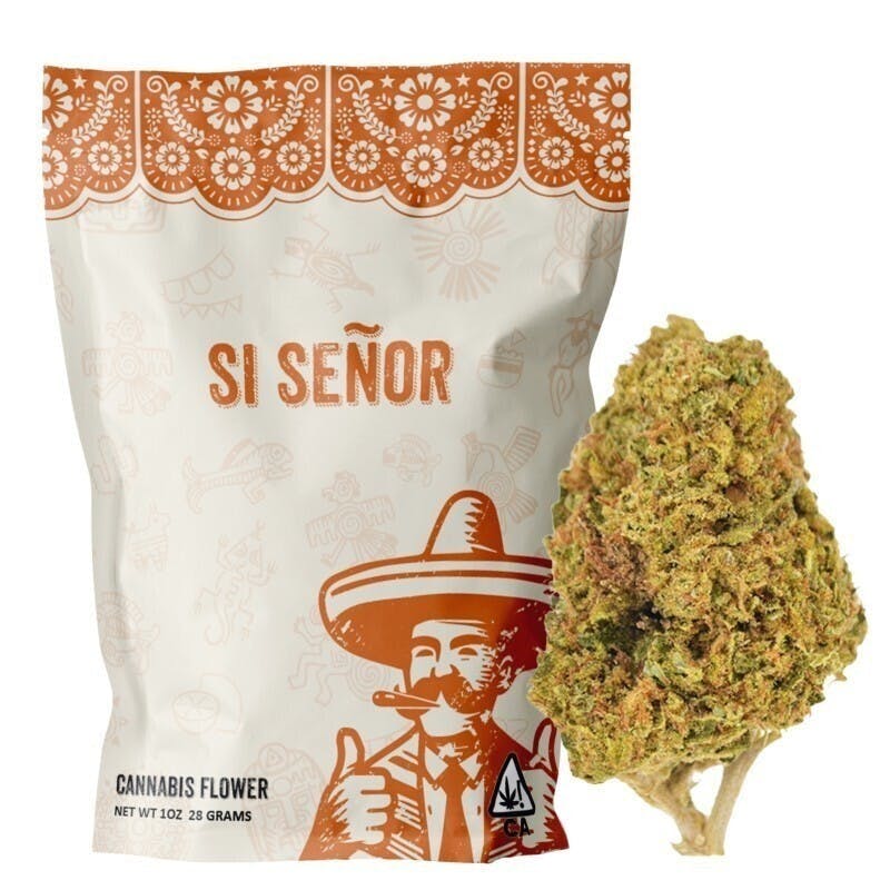 Smoakland: Northern Lights